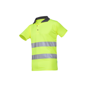 3870 Polo Irola