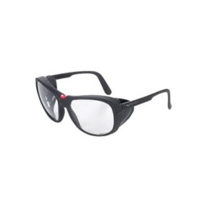 566 Clear Glass Veiligheidsbril (566.01.00.00)